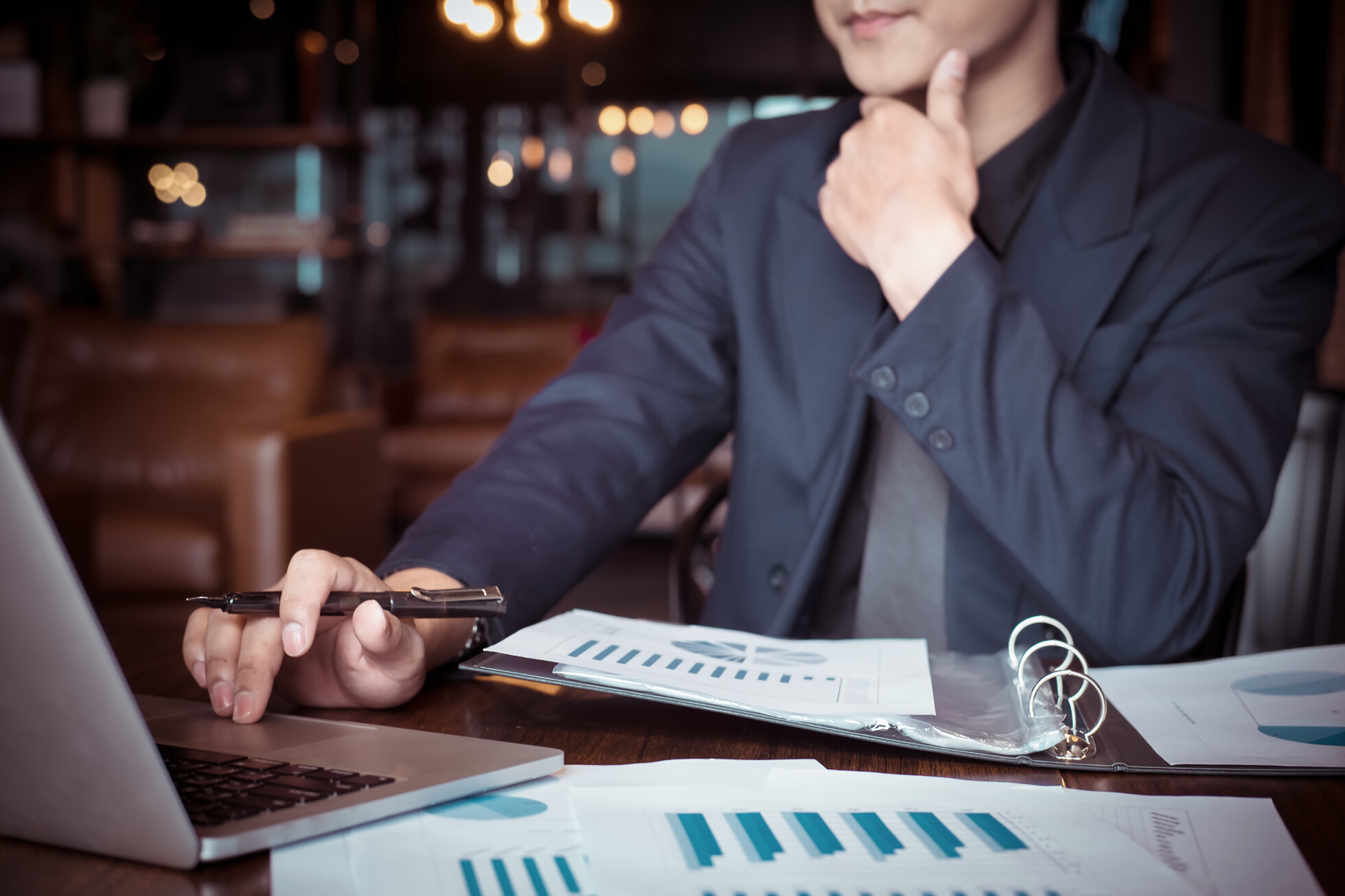 Business Adviser Analyzing the Documents